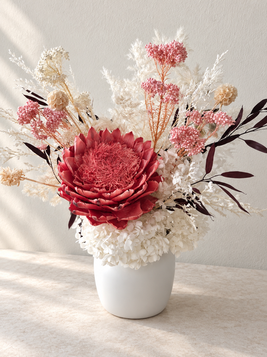 Blushing Protea preserved and dried flowers